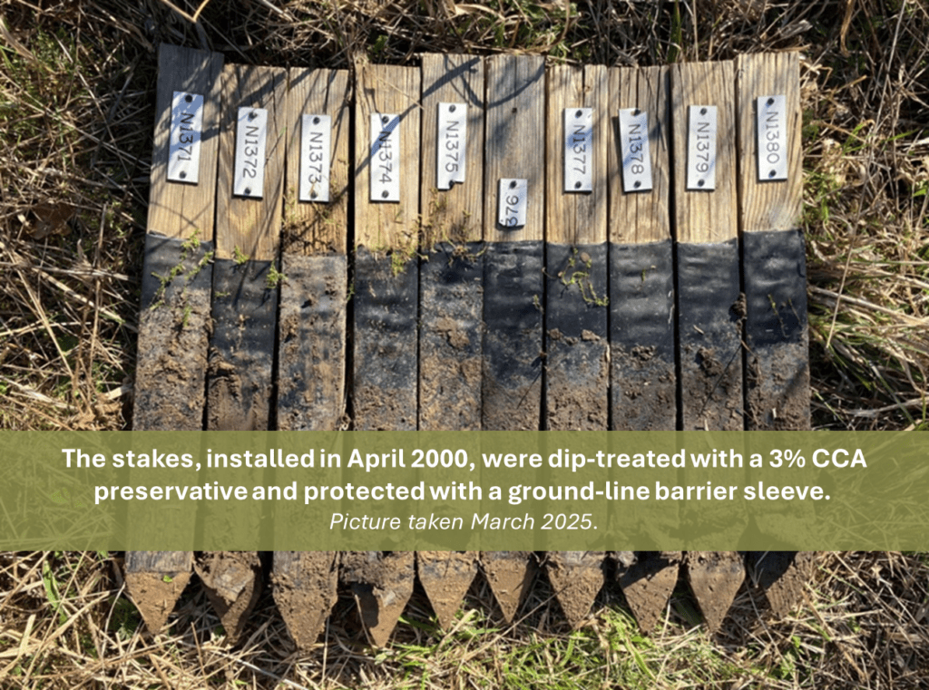 BRE Test Stakes - 2025